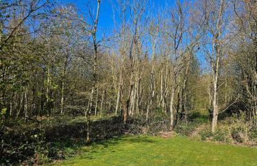 Silver Birch Nabb Lane Woods Hot tub near Alton Towers - Foto 9