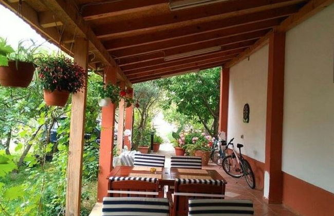 Your Perfect Adriatic Getaway - Photo 8