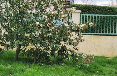 Maison de vacances - Foto 3