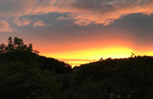 Idyllische Wohnung mitten in der Natur „ Haus Magnolia „ - Foto 8