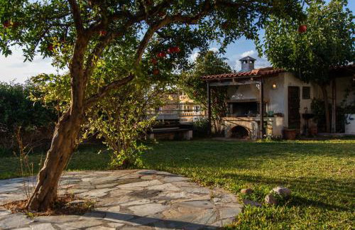 Beetle Villa retro country house - Foto 42