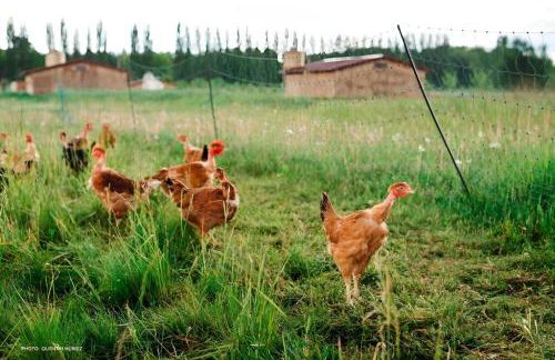 Gîte à la ferme avec sauna, forêt de Fontainebleau - Foto 21