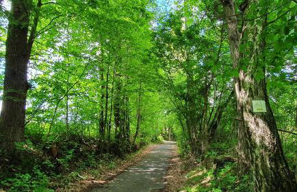 Nasz Dębowiec - dom dla 15 osób, sauna, widok na staw, wielka działka - Photo 60