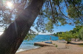 Apartments Ana Žaborić, 50 m od šljunčane plaže - Foto 1