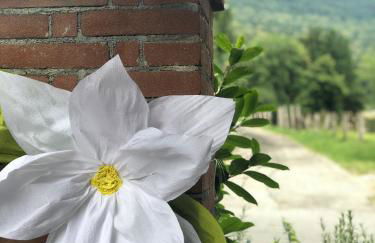 Agriturismo La Betulla - Photo 69