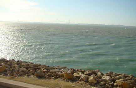 Loft El pez blanco - Foto 25