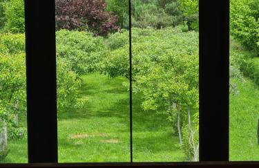 Studio Brzózka - Foto 17