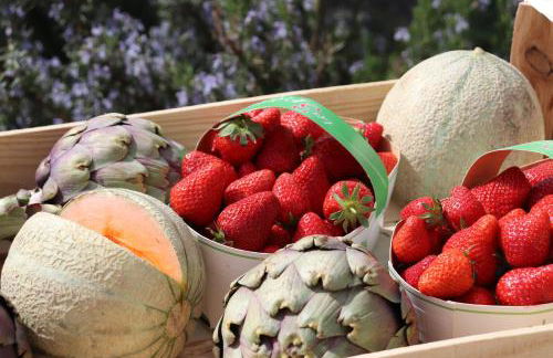 La Cèzenole - Villa climatisée 5 étoiles - Piscine Chauffée - Label Famille - Gorges de la Cèze - Photo 14