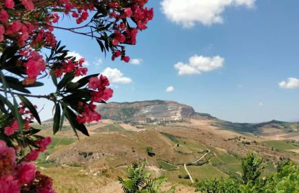 Al Profumo di Zagare - Foto 9