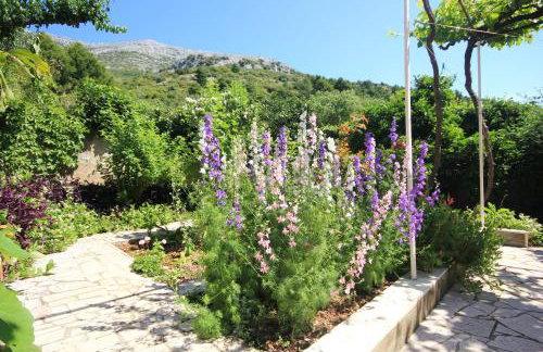 Apartments by the sea Kuciste - Perna, Peljesac - 4542 - Photo 12