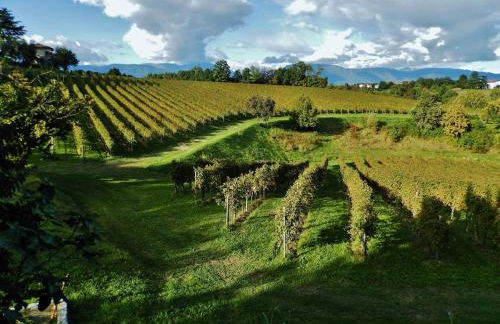 Magnolia Apartment - Heart of the Prosecco hills - Foto 44