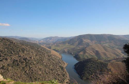 Douro Yacht Charter & Bungalows - Foto 30