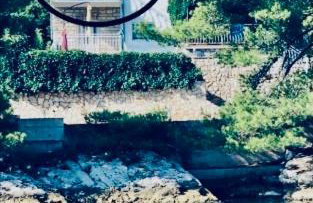 Apartmani Mima - Photo 8