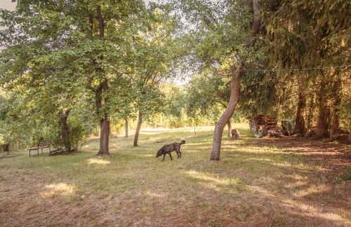 Lahnhaus Brühl/ Fende Haus - Foto 32