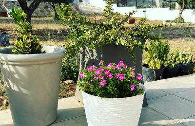 Villa Maxima Lavrio - Foto 12