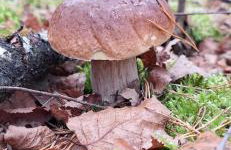 Strefa Relaksu-Piece - Foto 46