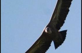 Apartamentos la Jayma del Arte - Foto 67