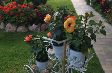 Chaliotis Apartments - Foto 37