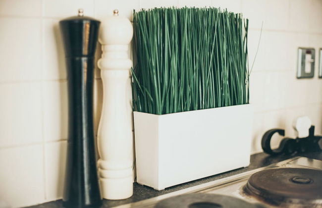 Kent Street - Apt 15 - Foto 10