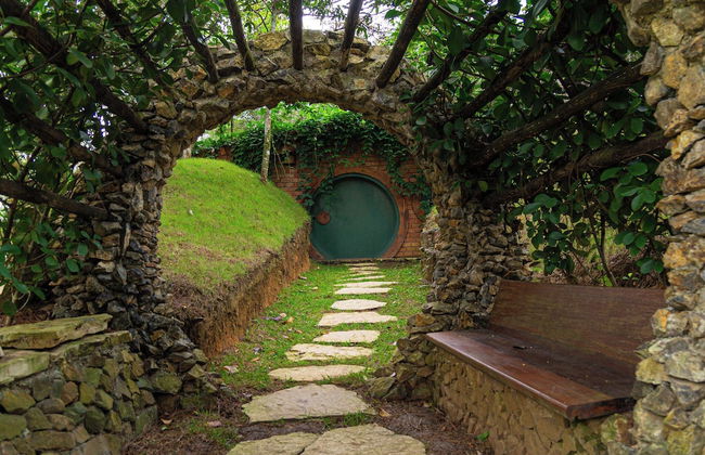 The Grand Forest Jarabacoa - Photo 42