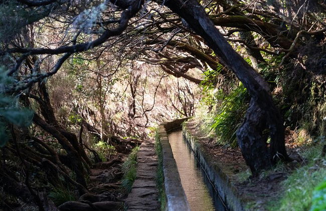 Madeira Lagos e Fontes Rabacal - Foto 12