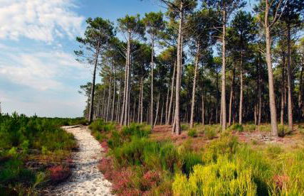 Maison neuve classement 3 étoiles avec accès privé piste cyclable, 6 personnes - Foto 25