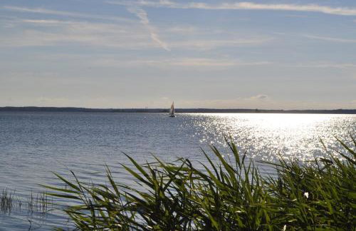 Villa Aurea - Foto 35