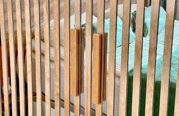 ZAMA Bella Vista - Foto 22