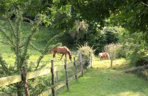 Gîte de la Roseraie - Foto 42