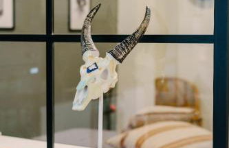 La Peregrina - Photo 52