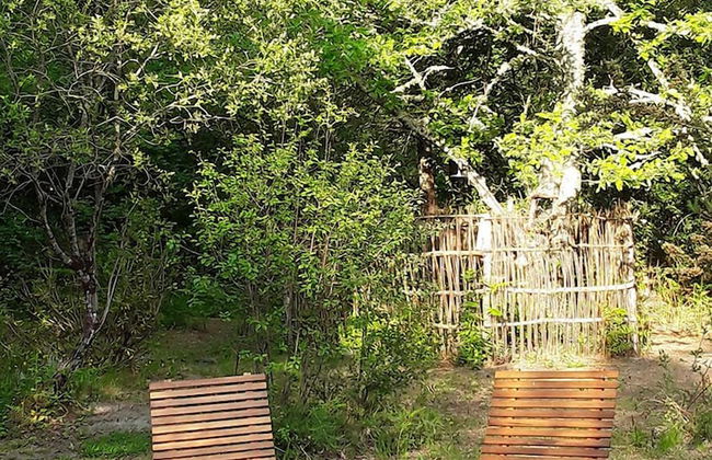 Les Landines - Foto 34