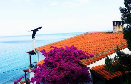 Acrogiali Sunshine - Foto 1