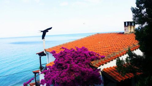 Acrogiali Sunshine - Foto 1