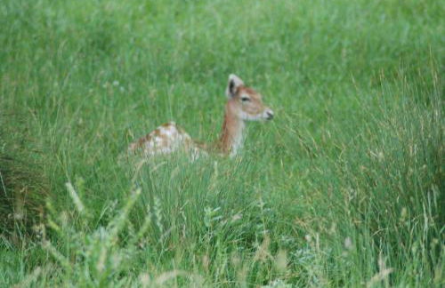 les Gites de l’E.D.E. - Photo 40