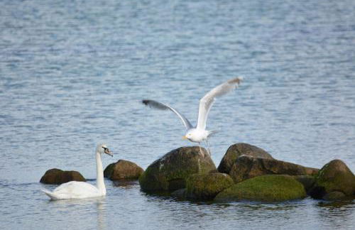 Forsthaus Wendt - Foto 44