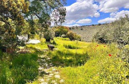 Villa El Desbarbado - Foto 14