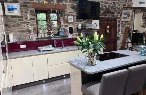 Anvil The Old Smithey - Foto 14