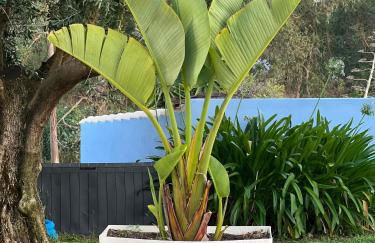 Villa Solar da Fonte - Foto 25