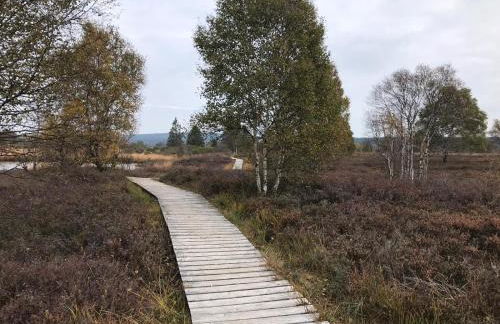 Alt Monjoie - Foto 35