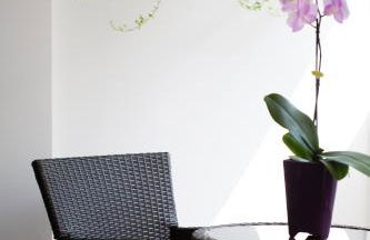 La Halte des Vignes - Route des vins d'Alsace - Foto 6