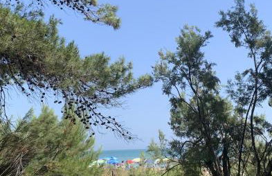 Alloggio Vista Mare - Parcheggio Gratis - Photo 27