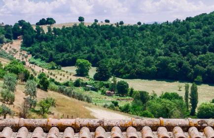 Casa Vacanze - Il Gelso - Foto 20