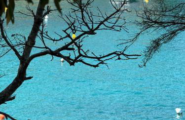 Casa Pietra 27 , Authentic Istrian Stone House - Foto 25