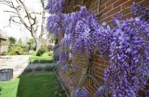 Wisteria Way, Tangmere - Foto 25