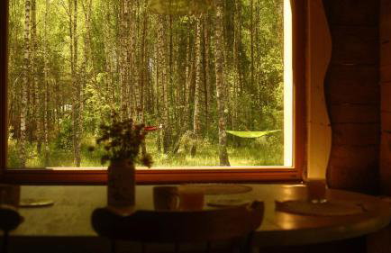 Biały Las Magiczna Stara Chata Puszcza Białowieska - Foto 20