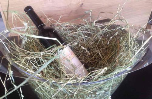 Chalets in der Forststraße - Photo 14