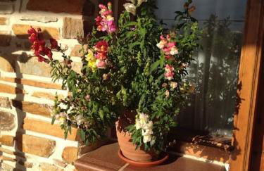 Los Rosales de Venturada - Foto 39