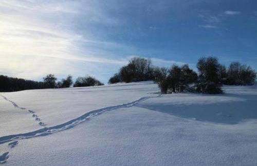 Quiet Garden Apartment - Foto 26