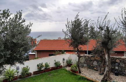 Poggio degli Ulivi - Foto 53