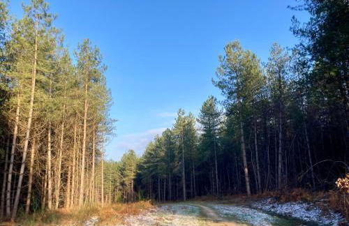 The Old Workshop, Wadhurst - Foto 47